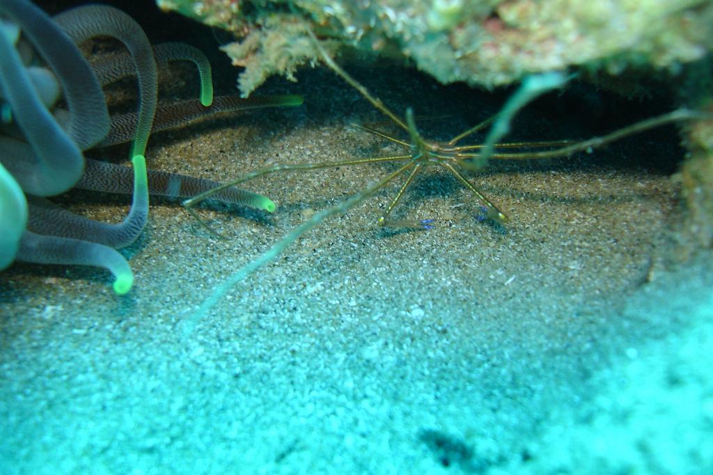 2008-05-14 16-47-46.JPG